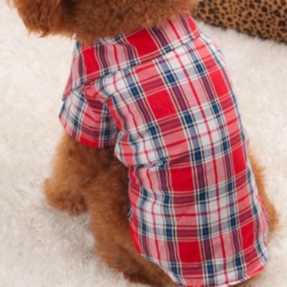 PLAID SHIRT - Picture 2 of 3